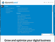 Tablet Screenshot of dynamicwebusa.com